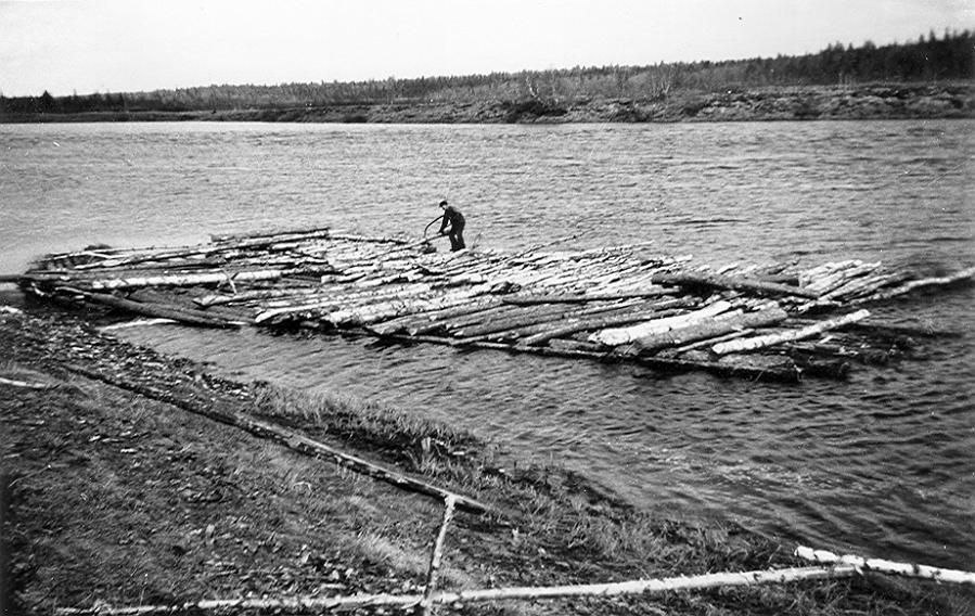 Lainio 09 A.jpg - Isak Ollas flotte, 1950. Helmer Olla (Granstål) sågar björk.
